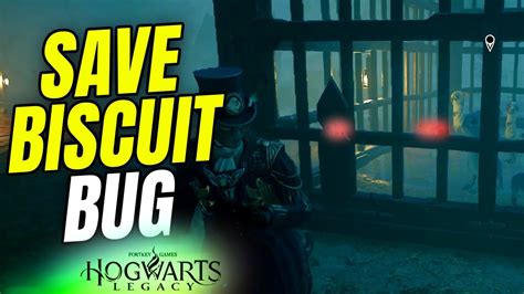 le biscuit de la discorde bug|Sauver Biscuit Hogwarts Legacy : Comment réussir la quête de。